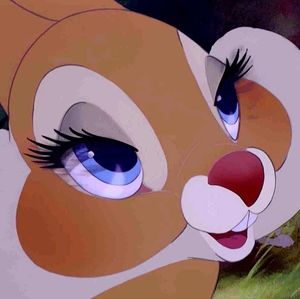 Meet your Posher, Bernadine